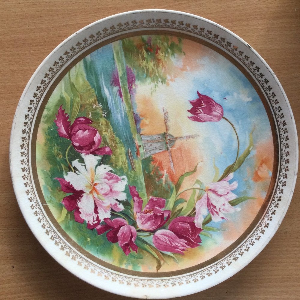 Vintage antique Dresden china 10.5" plate vivid flowers windmill minor damage